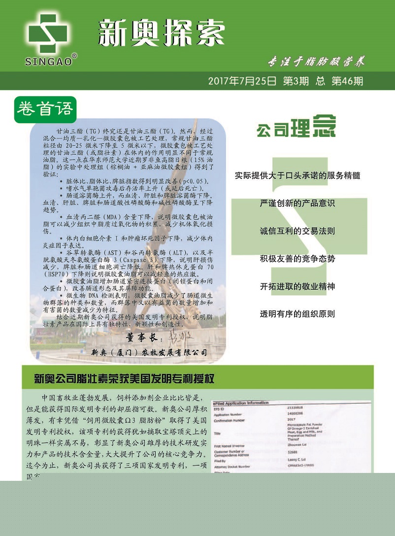 澳门今晚必开一肖一特警惕虚假宣传、全面解答与解释、综合解答解释落实